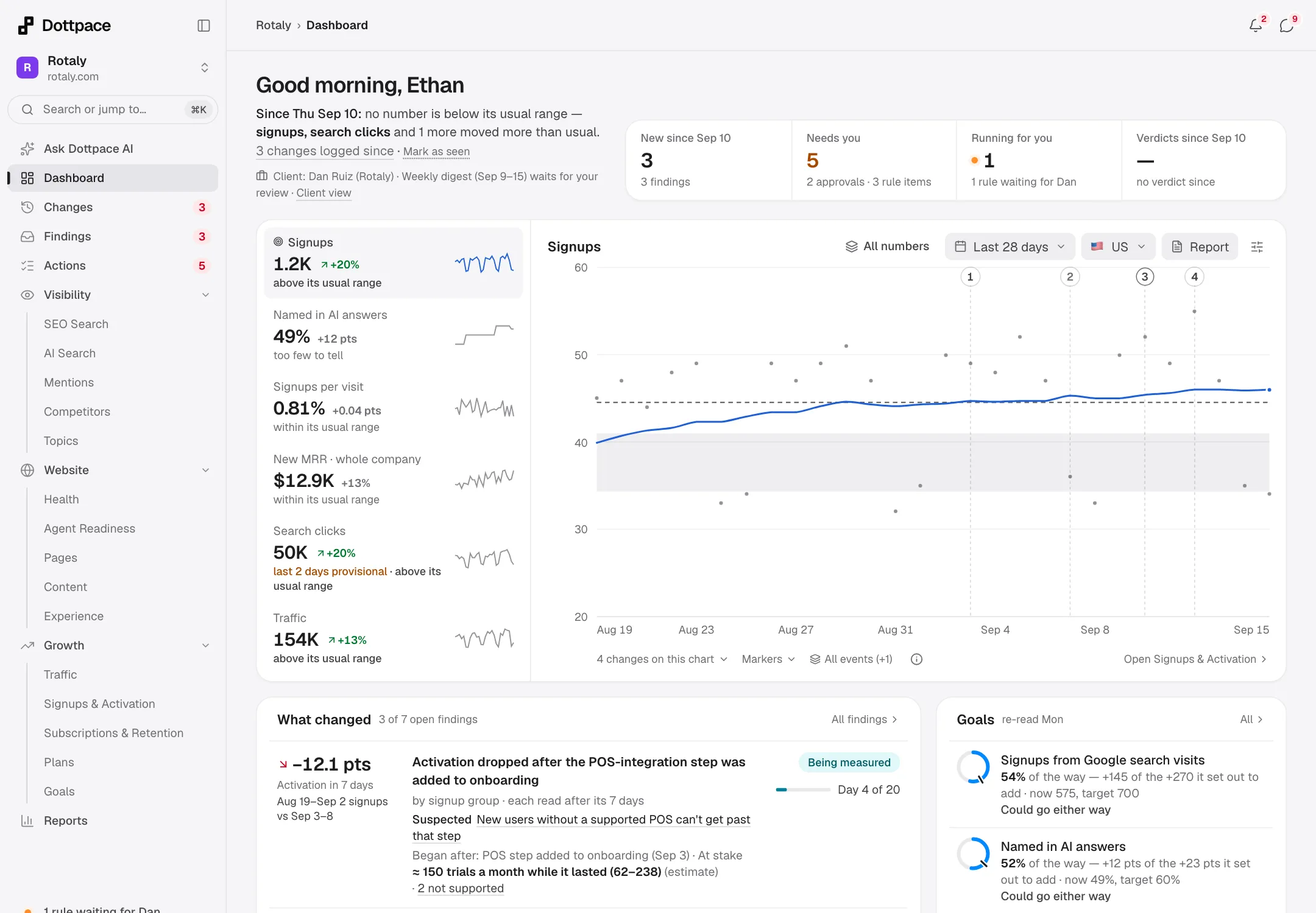 The Rotaly dashboard: signups, trials and search clicks, with the findings that explain them.